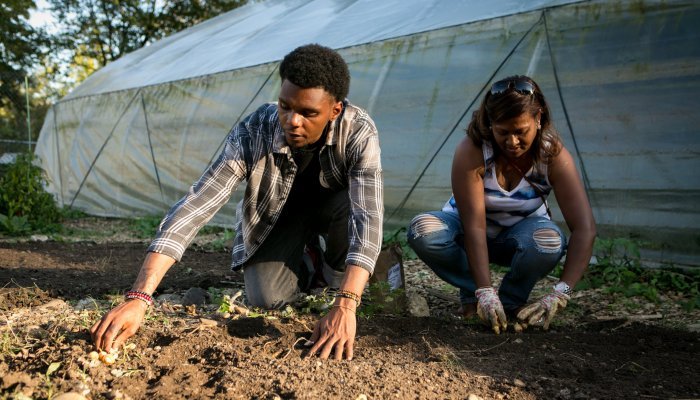 THEARC's food gardens